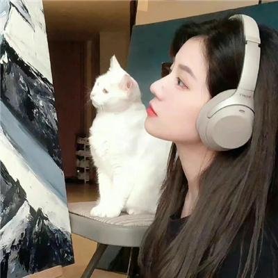 蛊惑仔与大滚王